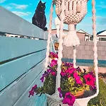 Bobolinlove W Bobolinie * ボボリン