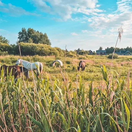 Bobolinlove W Bobolinie * Bobolin