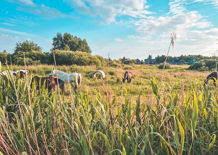 Bobolinlove W Bobolinie * בובולין